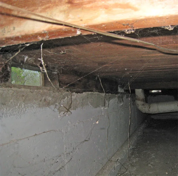 Crawlspace Water Removal in a Little Rock home